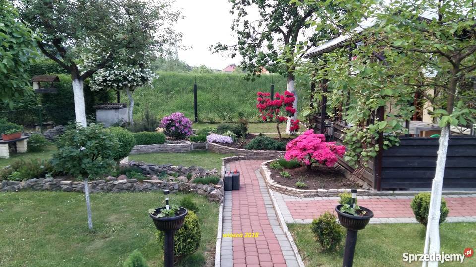 Działka rekreacyjna ogródek działkowy ROD śląskie Tychy