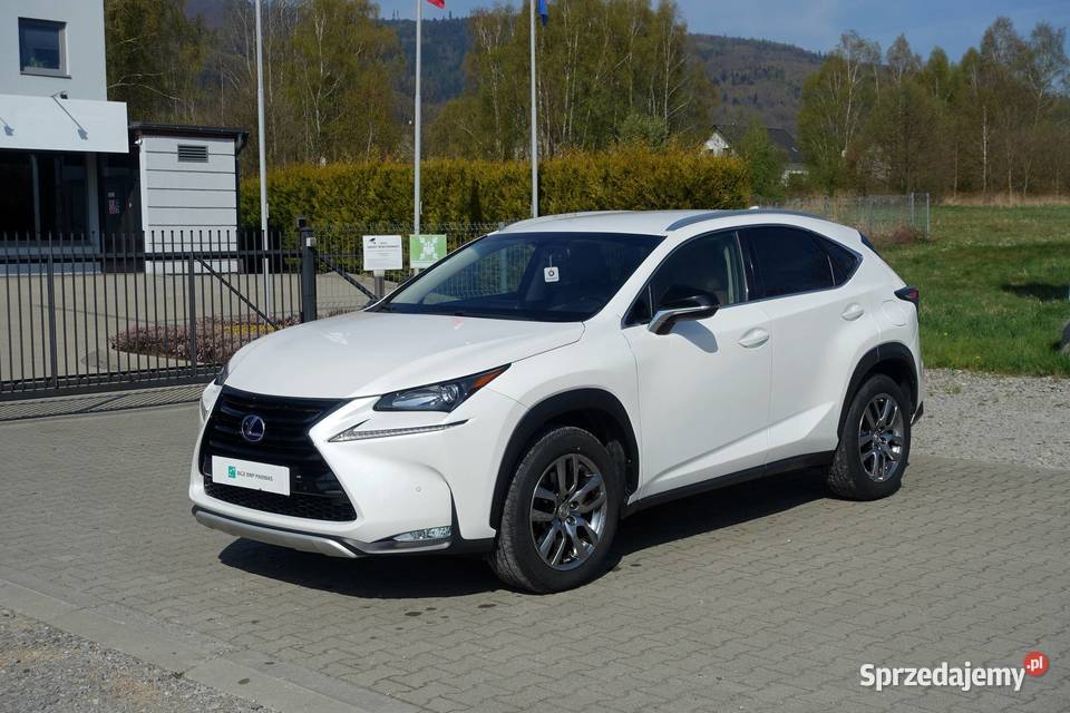 LEXUS NX 300H 197 4X4 SKÓRA AUTOMAT BIAŁA PERŁA śląskie Buczkowice sprzedam