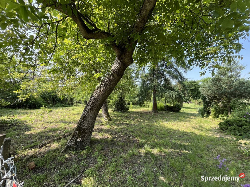 Siedlisko w Kaliszanach Kolonii gm Józefów 2000m2 Sprzedaż Kaliszany-Kolonia