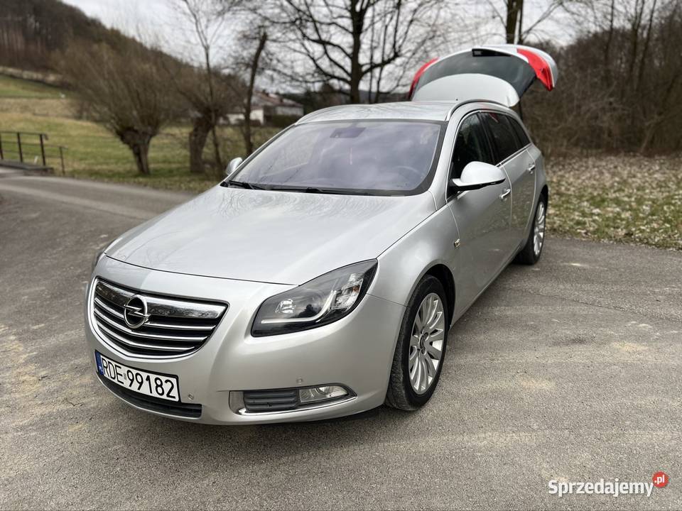 Opel insignia Kombi podkarpackie Dębica