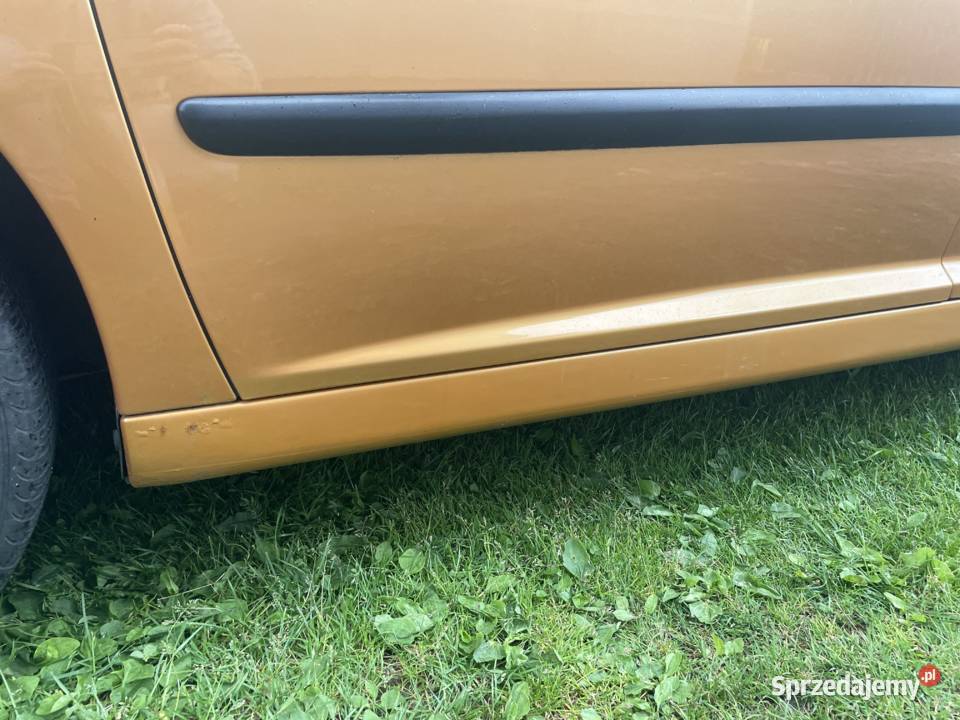 Peugeot 207 570000 do negocjacji Lasowice