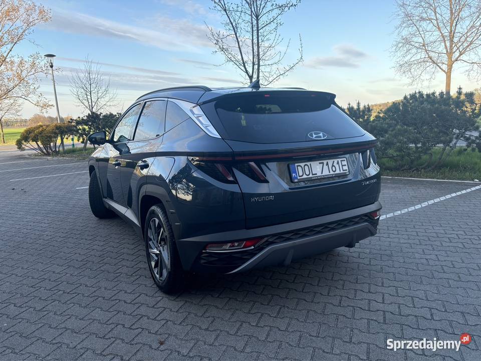 Hyundai Tucson Executive 2021r Polski salon przyciemniane szyby dolnośląskie Międzybórz