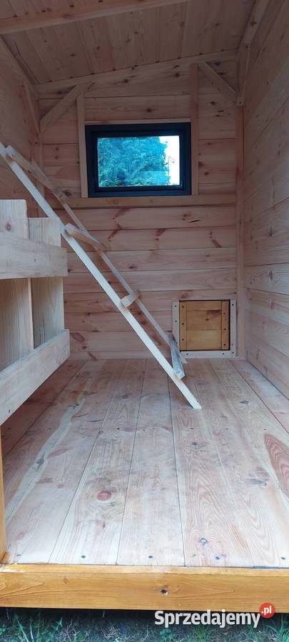 Kurniki kur Nowy Częstochowa