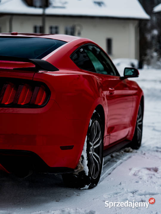 Ford Mustang 23 EcoBoost Mustang Żory sprzedam