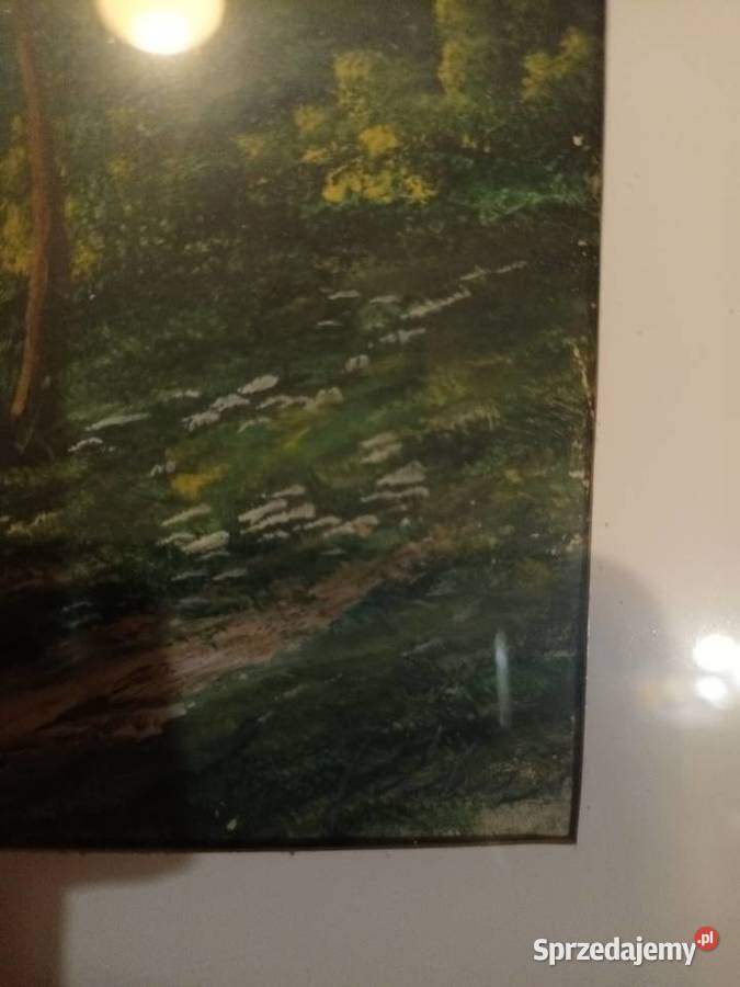 Widok gór podczas mgły Bielsko-Biała