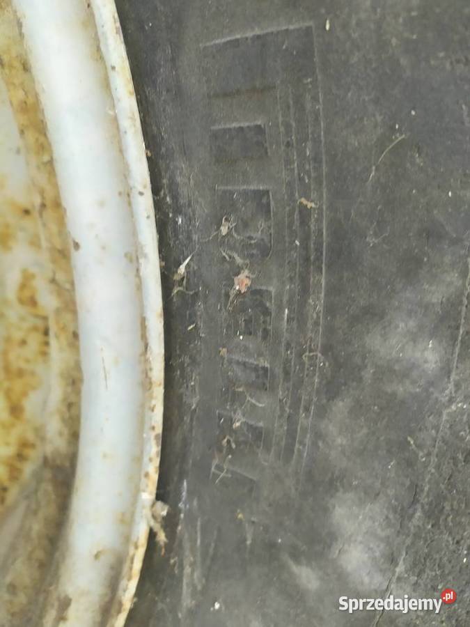 Opona 169 x28 Pniówek