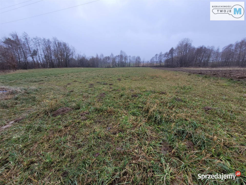 Działka Bodzentyn 4800m2 prąd sprzedam