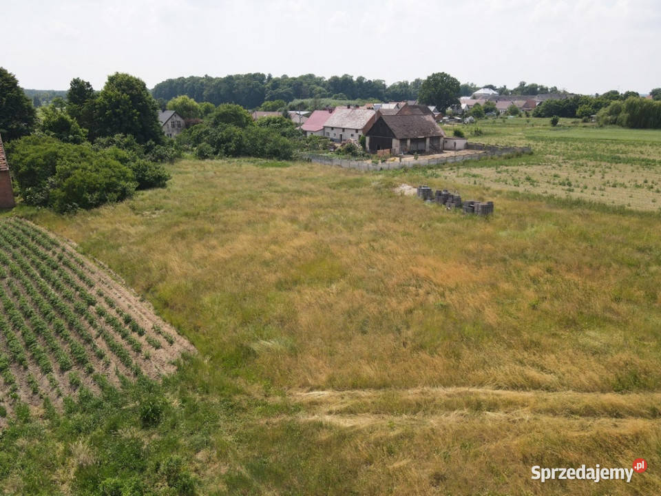 Działka budowlana sprzedaż Bąkowice gm Świerczów