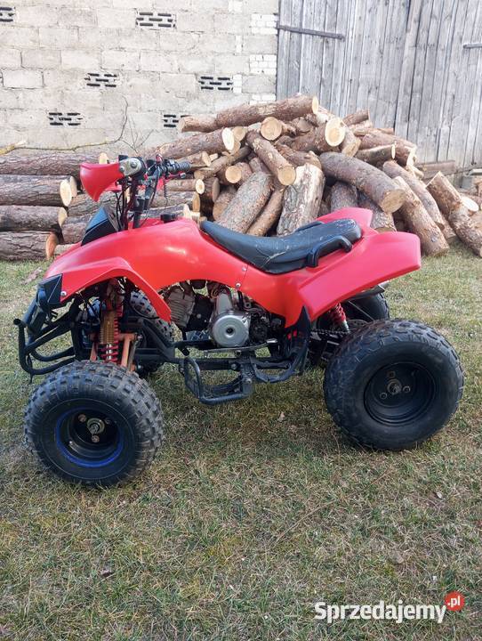 Qład 125 2020 1200km Pozostałe Trzemeszno