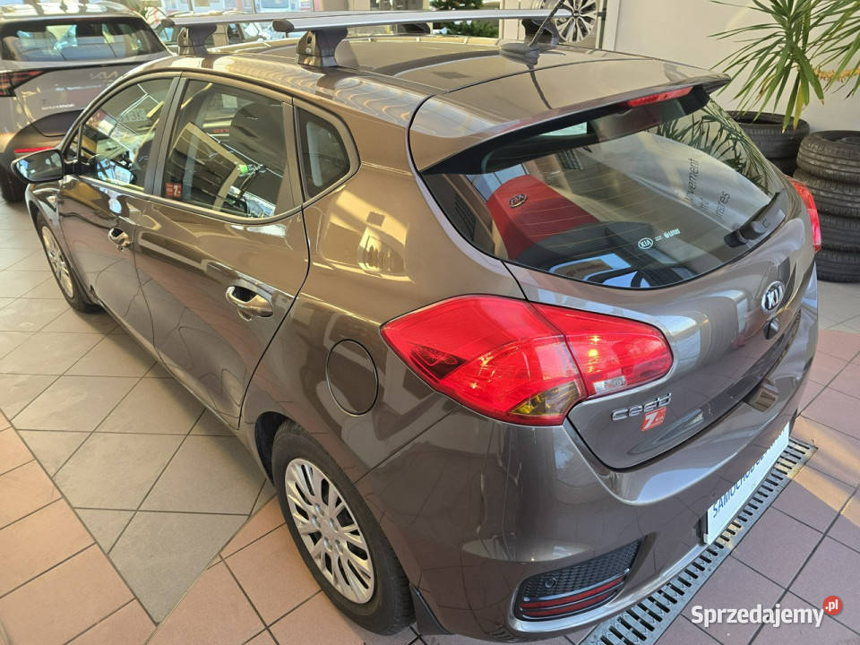 Kia Ceed Krajowy Benzyna Pierwszy właściciel światła do jazdy dziennej Kia Samochody osobowe Tarnów