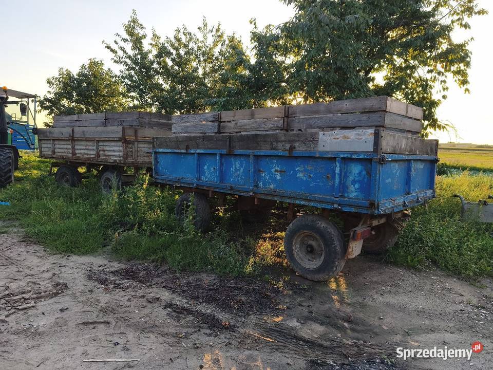 DWIE PRZYCZEPY D35 KACZKI Sieradz sprzedam