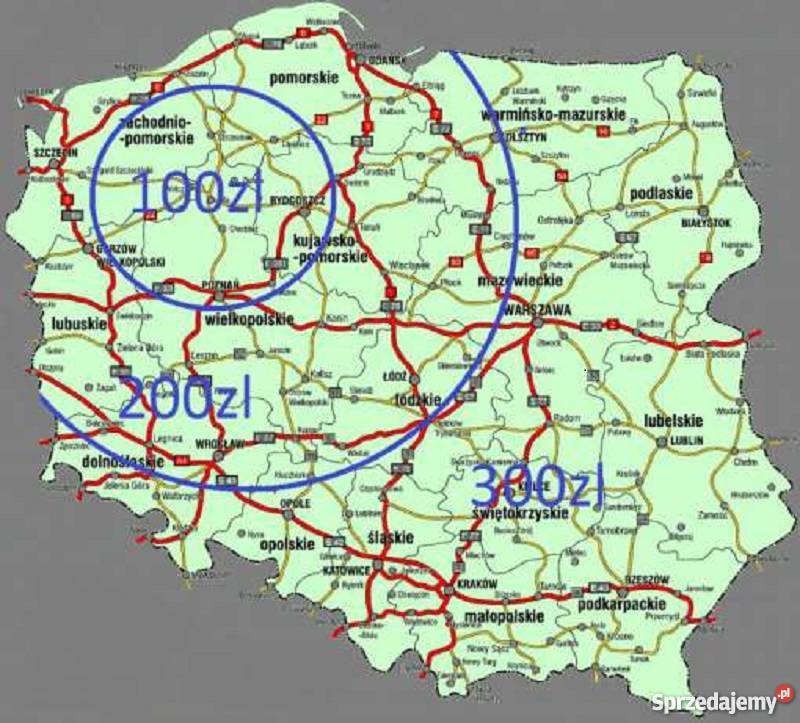 Stylowe krzesła ludwikowskie 4