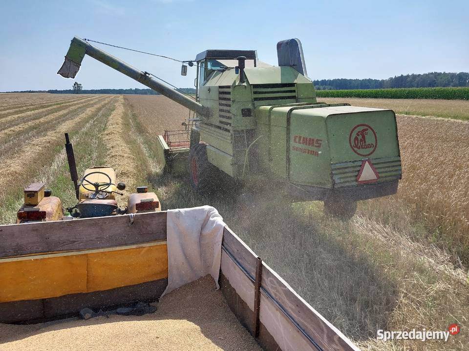 kombajn claas Boćki