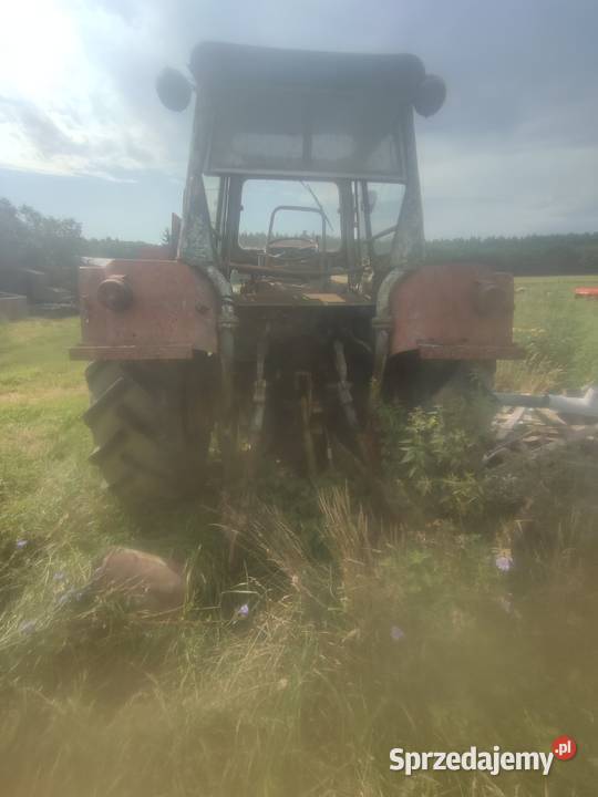 Sprzedam Strzelce Krajeńskie