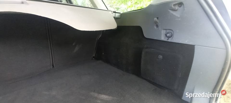 Ford Focus 2009 115KM Kolano