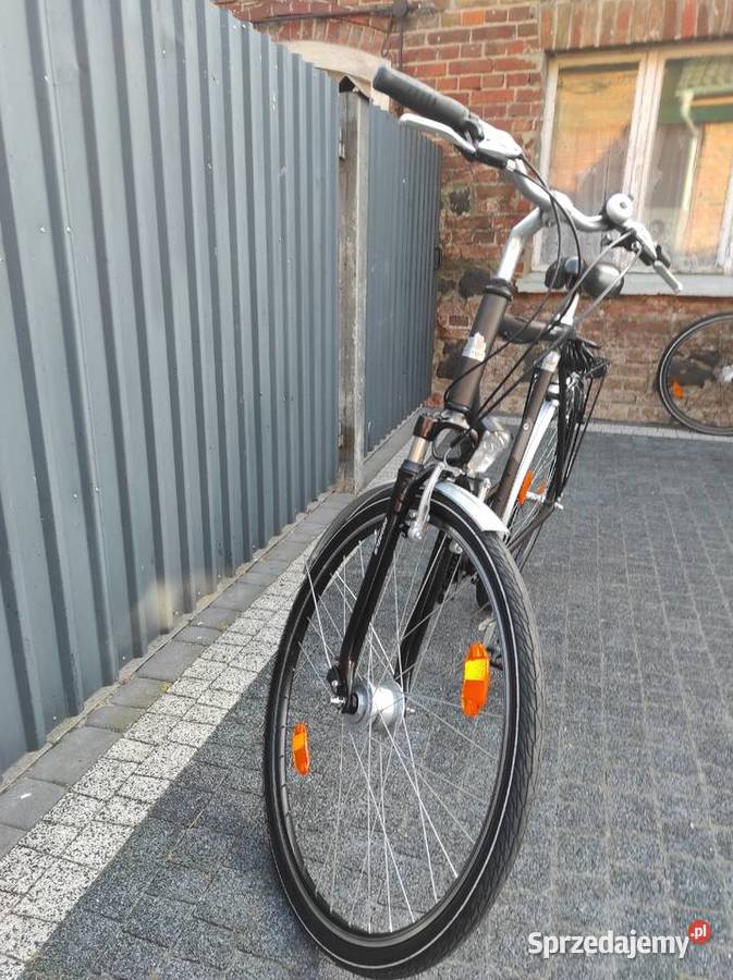 Rower męski Pegasus