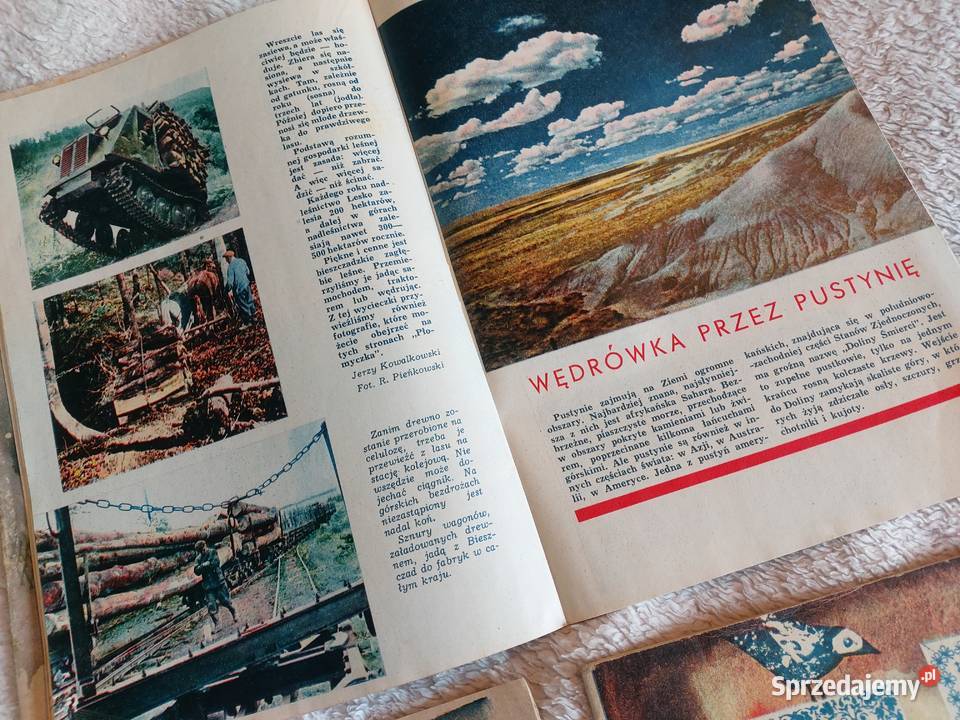 Stara Gazeta Płomyczek z roku 1945 1965 i 1966 1 małopolskie Tarnów