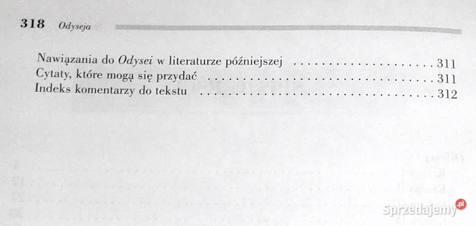 Odyseja Homer Chełm