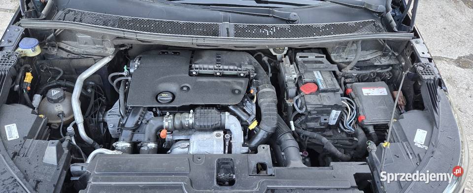 Opel Grandland X Leszno