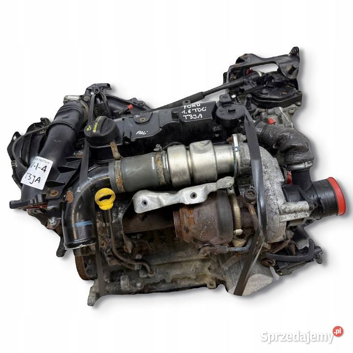 SILNIK T3JA Ford Fiesta VII MK7 16 TDCI 95 Chełm sprzedam