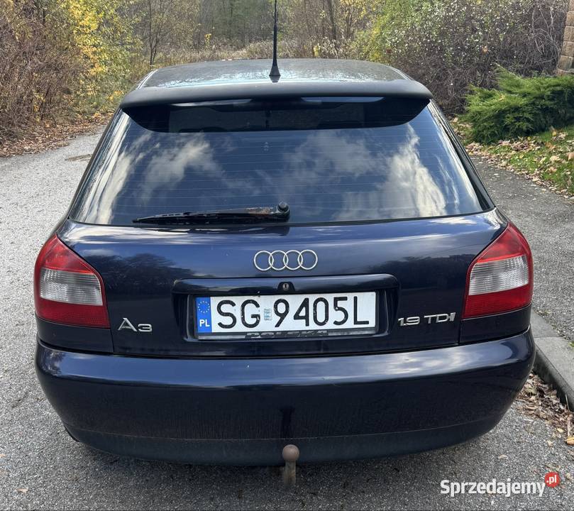 Audi a3 19TDI 110KM Zabrze