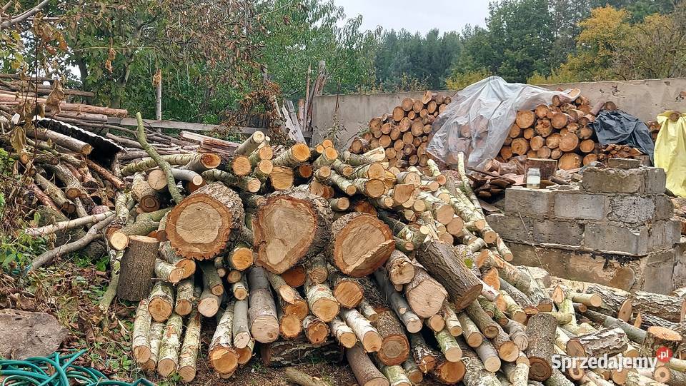 Drewno opałowe kominkowe z transportem Radom