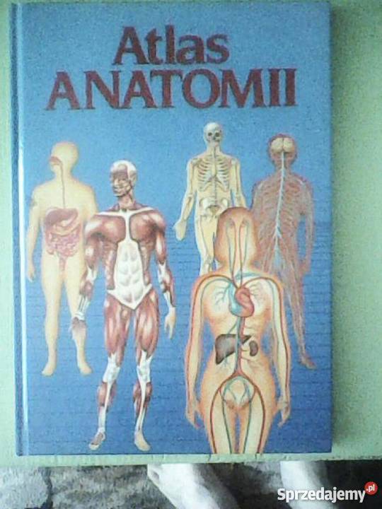 atlas anatomii czlowieka wiedza i życie Gorzów Wielkopolski