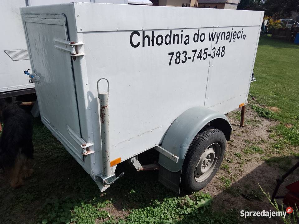 18 osiemnastka urodziny Sędziszów sprzedam