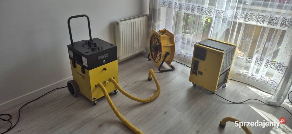 wycieków osuszanie odgrzybianie