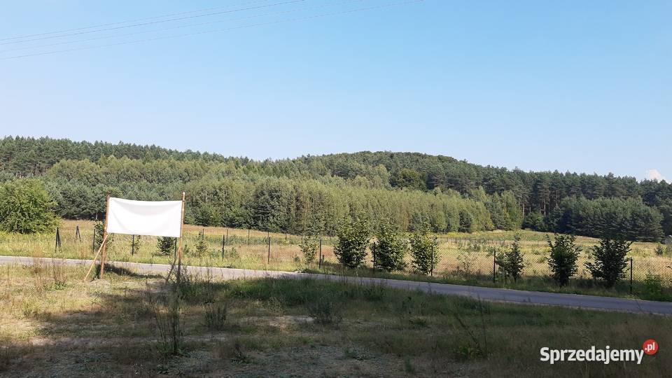 DZIAŁKI Roztocze Czarny Las Kolonia Sprzedaż Sprzedaż Czarny Las-Kolonia