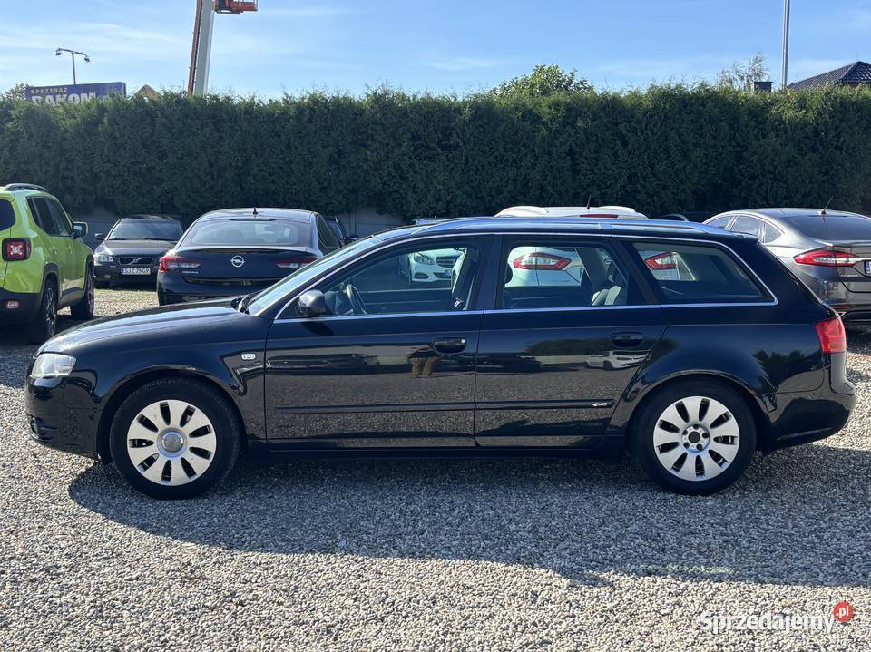 Audi A4 Paniówki