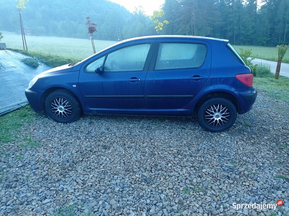 Peugeot 307 niski przebieg 170 170450km