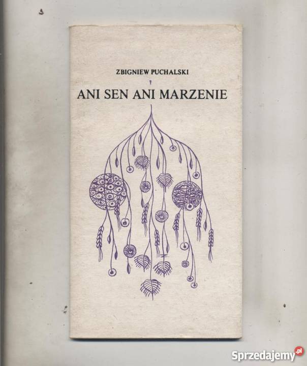 Ani sen ani marzenie Szczecin