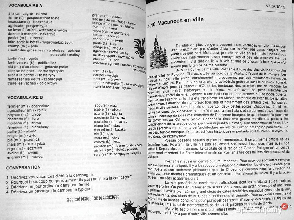 Francais Repetytorium tematycznoleksykalne Chełm