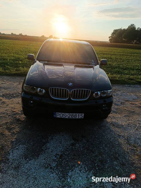 Bmw X5 e53 Piękna wielkopolskie Lamki sprzedam