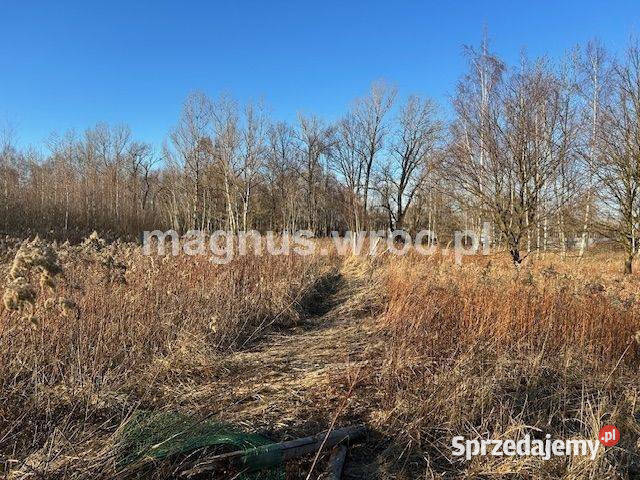 Oferuję działke inwestycyjną w Jerzmanowie dolnośląskie Wrocław