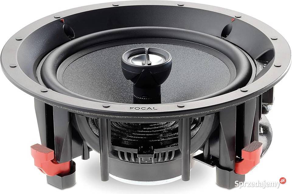 Focal 100 ICW6 para Nowe Kielce