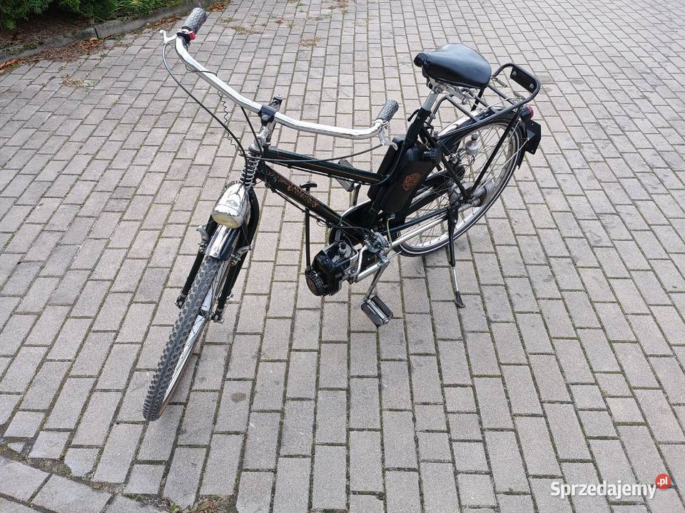 Bicicletta Pizeta Scoiattolo rower z silnikiem Kurzętnik