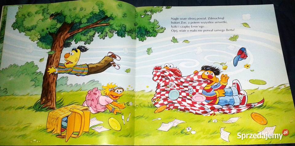 Doskonały piknik Sarah Albee Rok wydania 2009 lubelskie Chełm