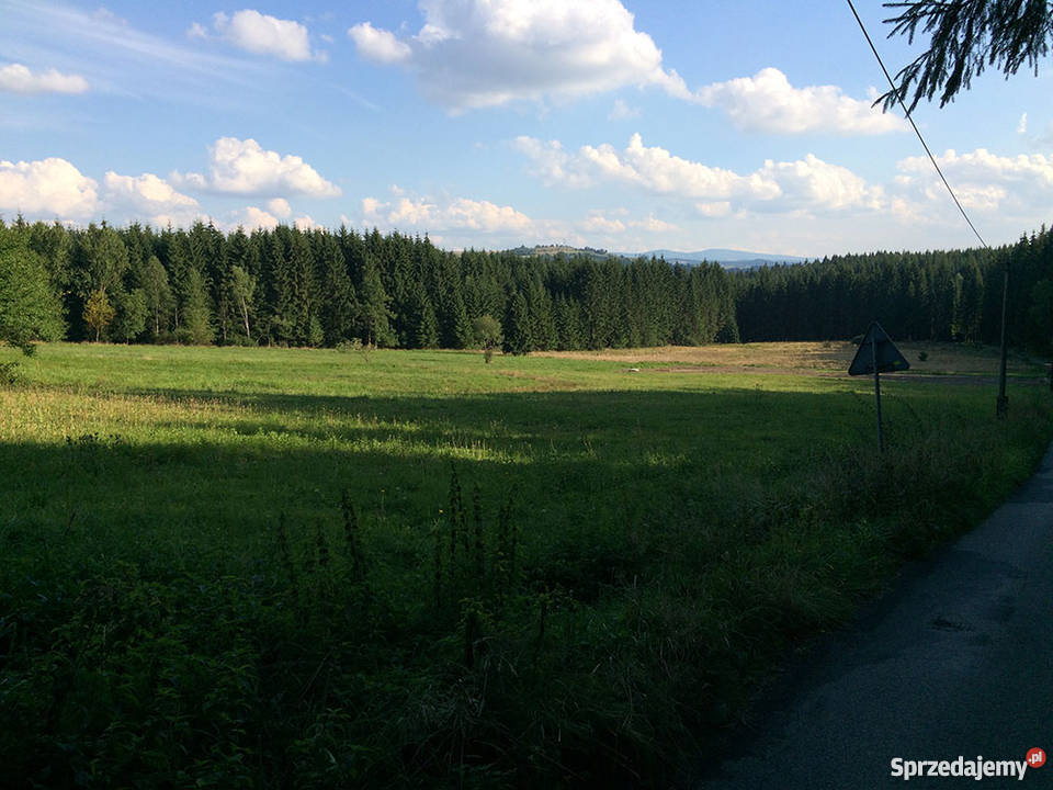 Działka budowlana w górach w Istebnej 7300m2 śląskie Istebna