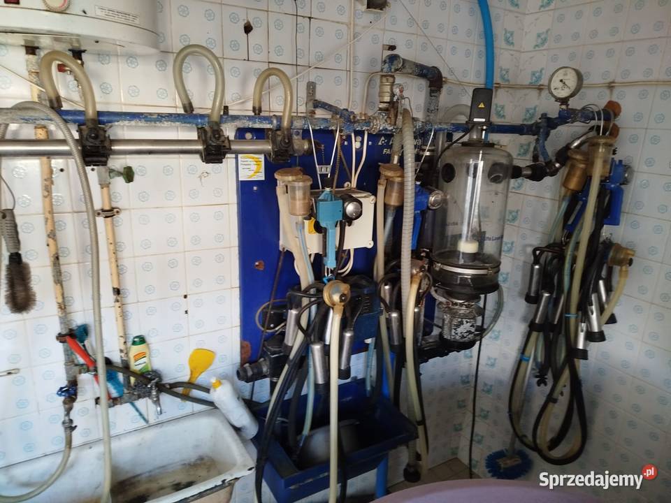 Dojarka przewodowa alfalaval likwidacja podlaskie