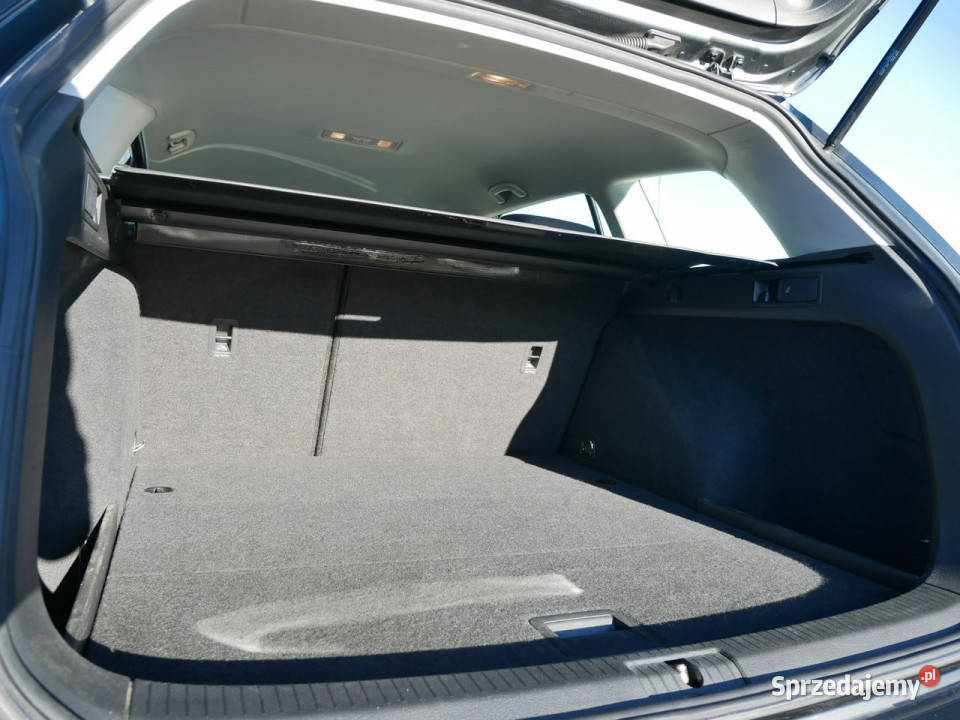 Volkswagen Golf 16 TDI 115 Eu6 Kombi Krajowy Goczałkowice-Zdrój