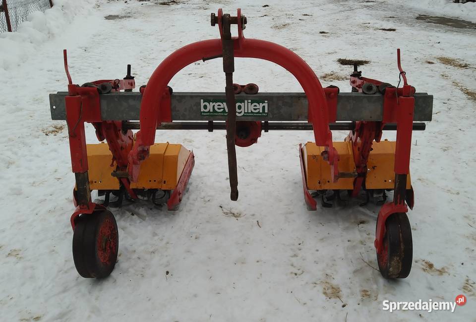 Glebogryzarka Breviglieri podkarpackie Nowy Dzików