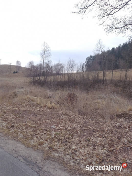 Działki budowlane dolnośląskie Mieroszów