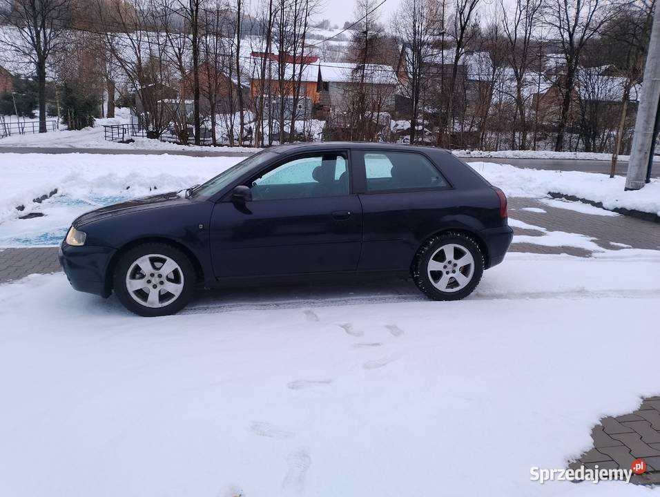 Sprzedam a3 8l Korzenna