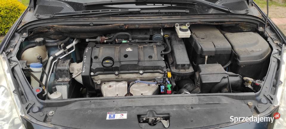 Peugeot 307 Lift 2007 16 benzyna klima Biłgoraj