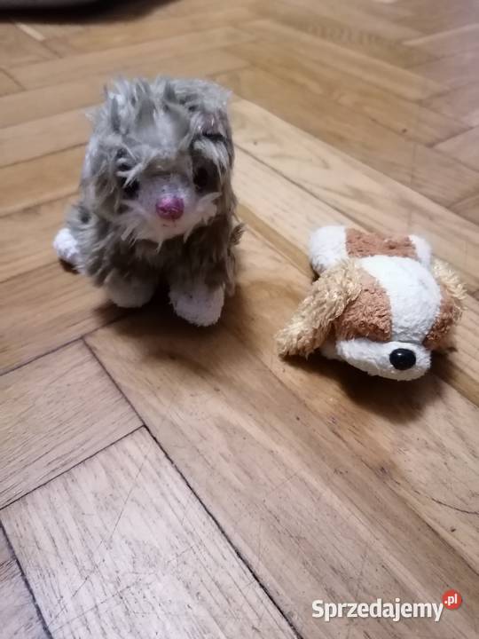 Mastoki 2 sztuki Gdańsk