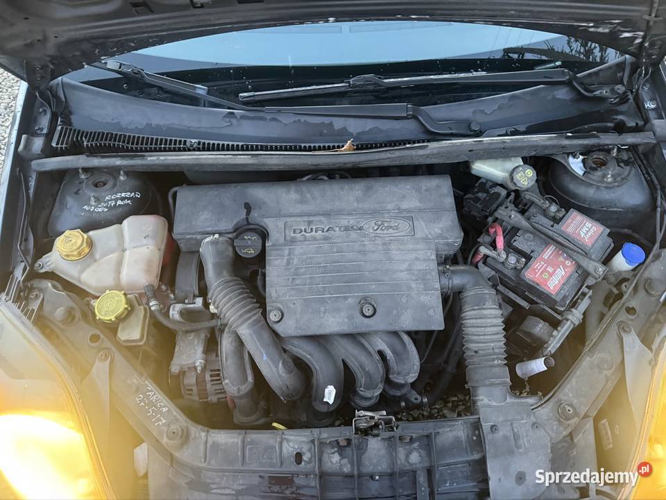 Ford Fiesta 13 KLIMA Zadbana Oszczędna ŁADNA Sucha Beskidzka
