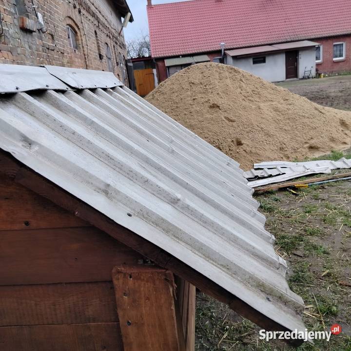 Buda psa wielkopolskie Jastrowie