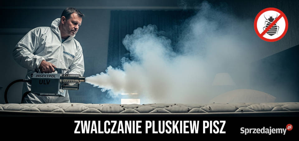 Zwalczanie pluskiew Pisz Odpluskwianie
